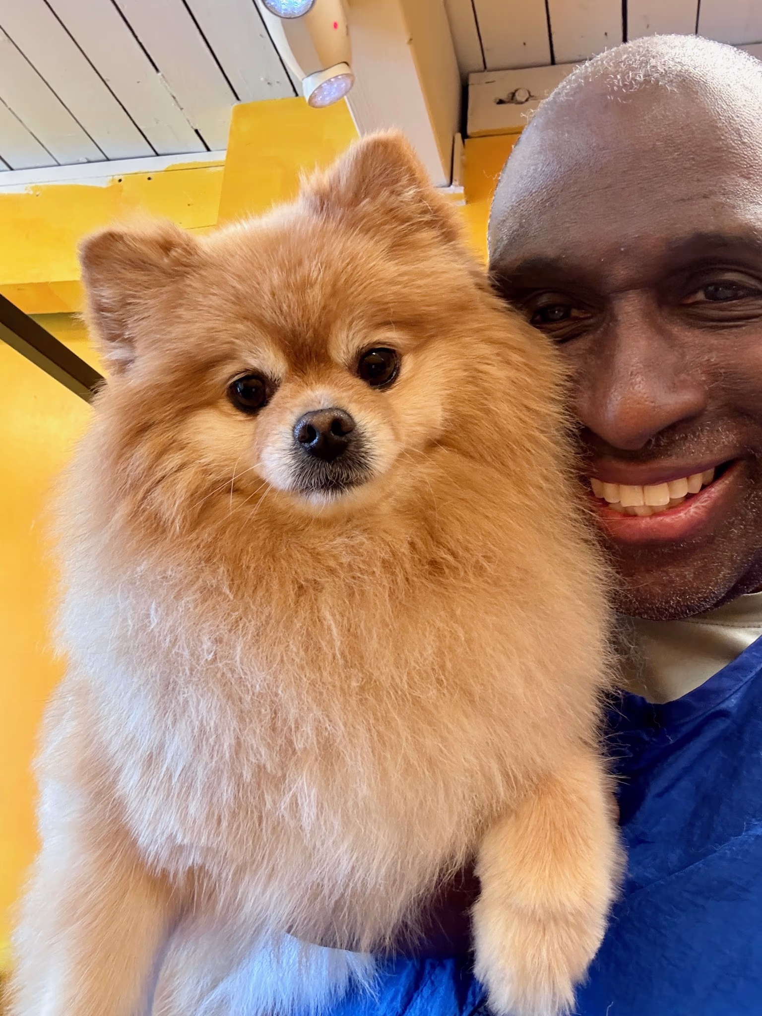 Professional dog grooming at Ritchard's Grooming Pioneer Square, Seattle