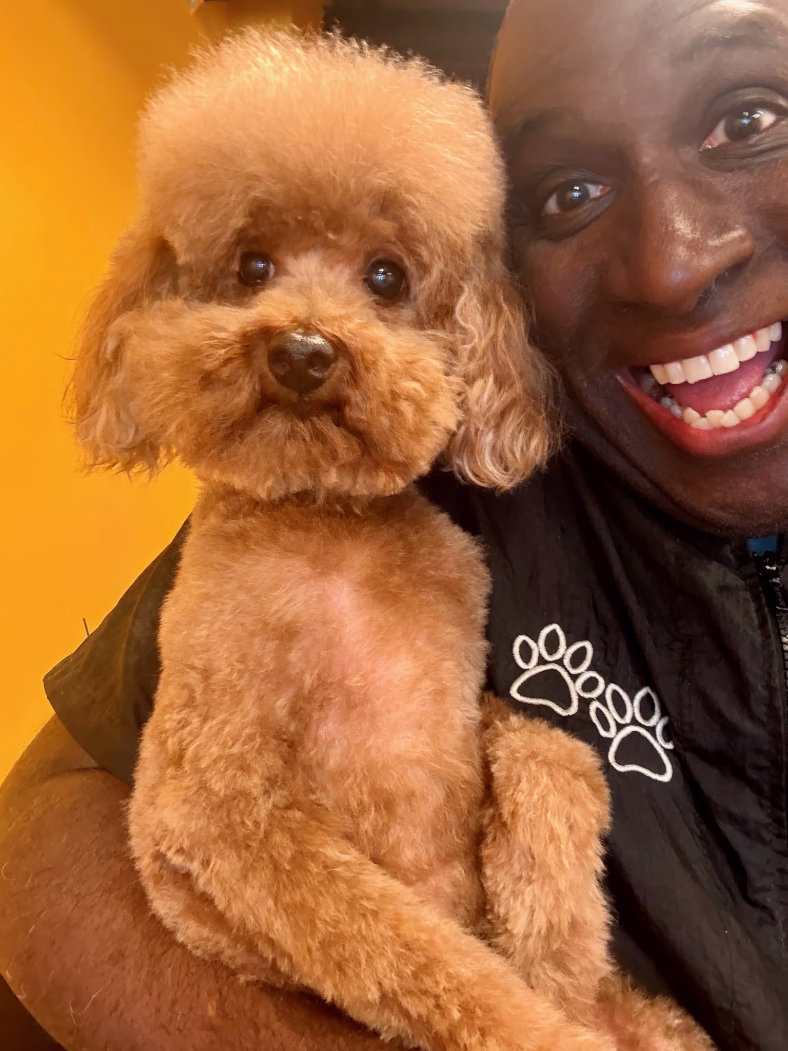 Professional dog grooming at Ritchard's Grooming Pioneer Square, Seattle
