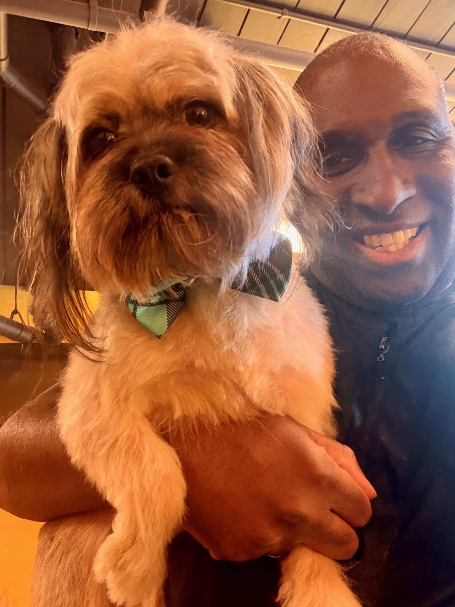 Professional dog grooming at Ritchard's Grooming Pioneer Square, Seattle