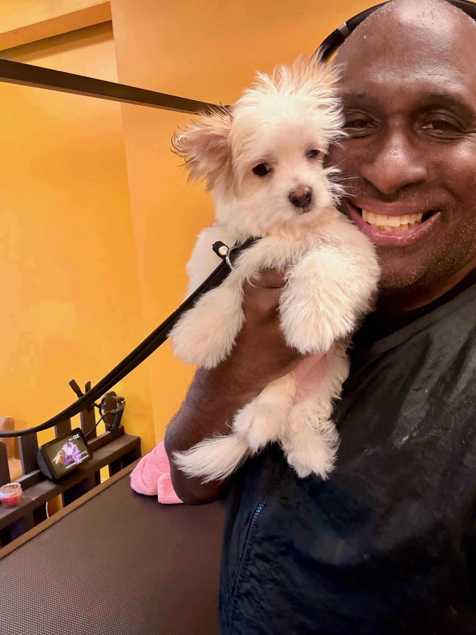 Professional dog grooming at Ritchard's Grooming Pioneer Square, Seattle
