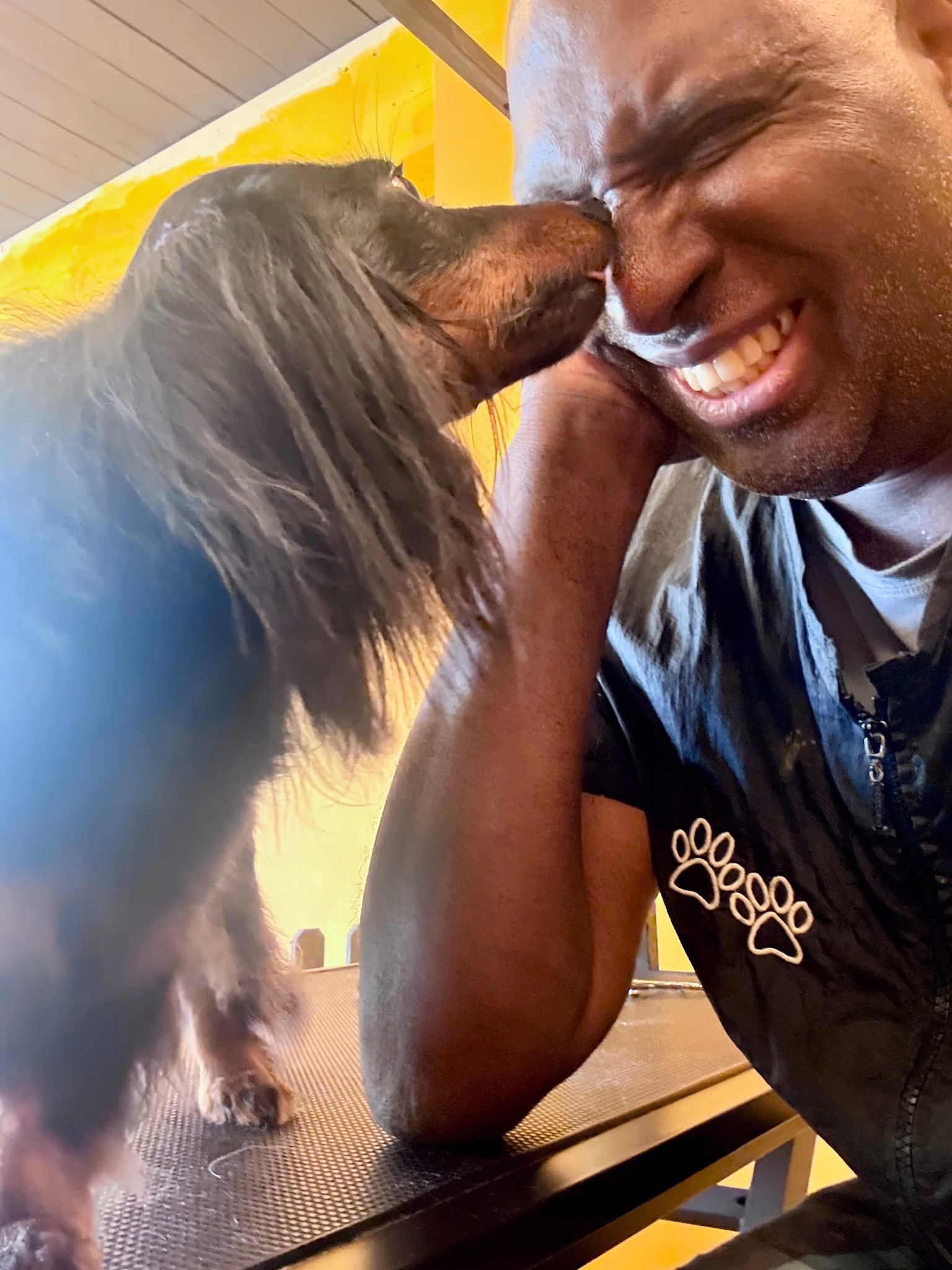 Professional dog grooming at Ritchard's Grooming Pioneer Square, Seattle